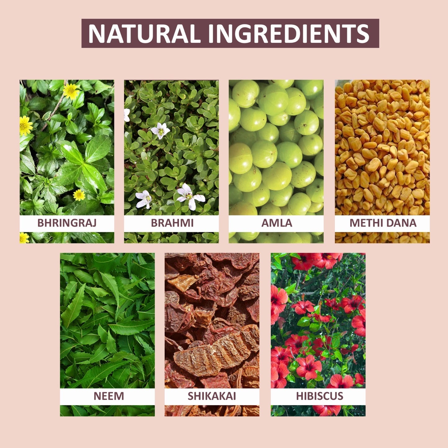 Auremi Hair Growth Vitalizer Oil